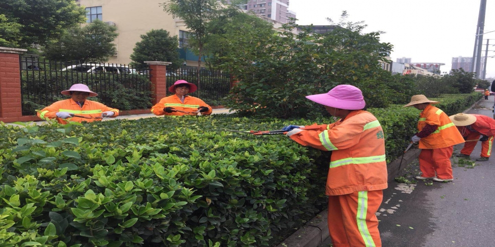 新站區(qū)道路清掃保潔、綠化管養(yǎng)項(xiàng)目